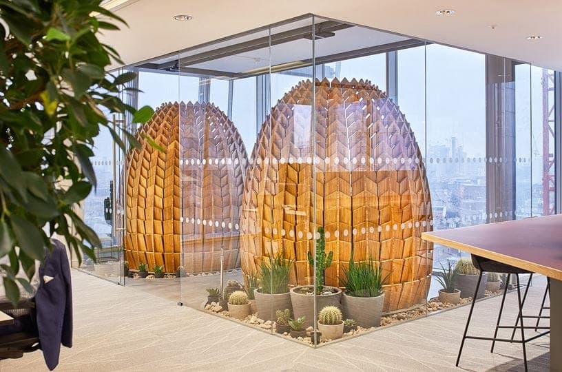 Two egg-shaped bamboo pods among cacti in a glazed room high above London