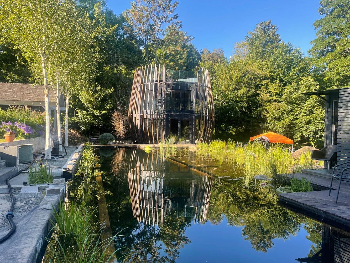 The Poppy, a slatted pod-shaped building among birch trees, reflected in a natural swimming pond